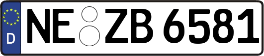 NE-ZB6581
