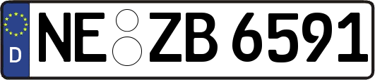 NE-ZB6591