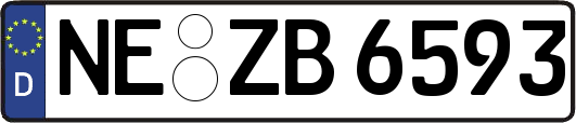 NE-ZB6593