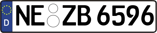 NE-ZB6596