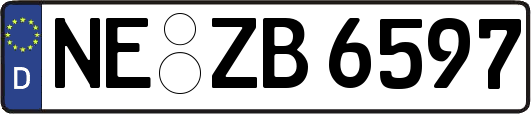 NE-ZB6597