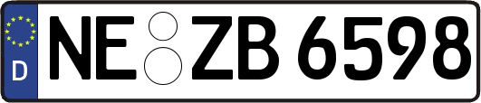NE-ZB6598