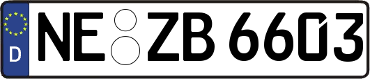 NE-ZB6603