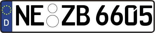 NE-ZB6605