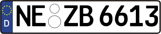 NE-ZB6613