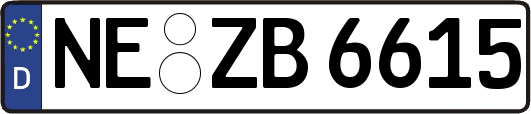 NE-ZB6615
