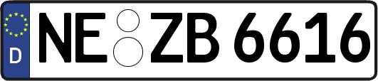 NE-ZB6616