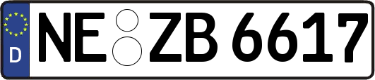 NE-ZB6617