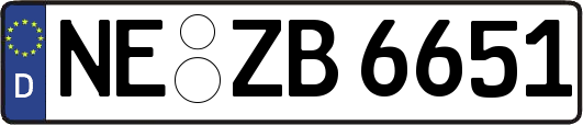 NE-ZB6651