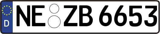 NE-ZB6653