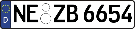 NE-ZB6654