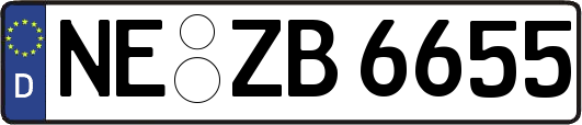 NE-ZB6655