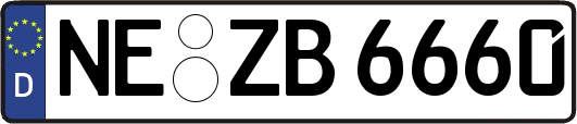 NE-ZB6660