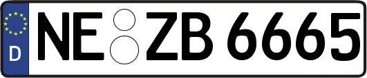 NE-ZB6665