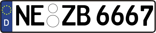 NE-ZB6667
