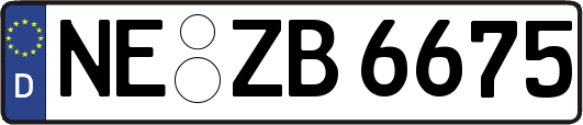 NE-ZB6675