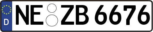NE-ZB6676