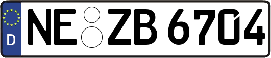 NE-ZB6704