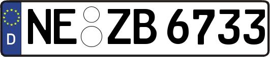 NE-ZB6733