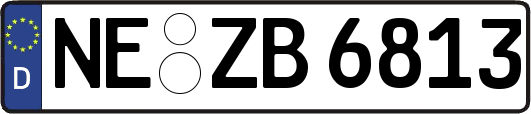 NE-ZB6813