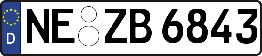 NE-ZB6843