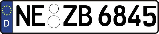 NE-ZB6845