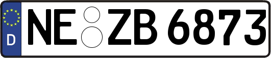 NE-ZB6873