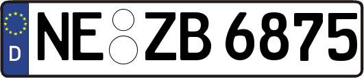NE-ZB6875