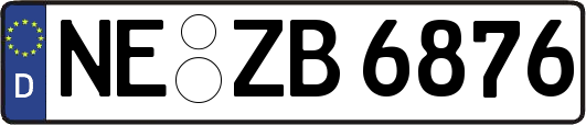 NE-ZB6876