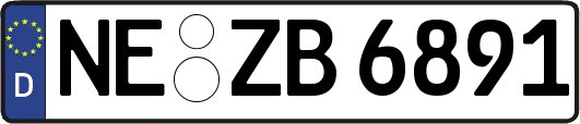 NE-ZB6891