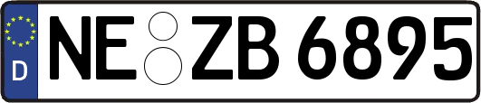 NE-ZB6895