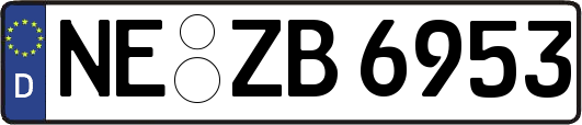 NE-ZB6953