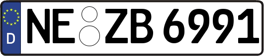 NE-ZB6991