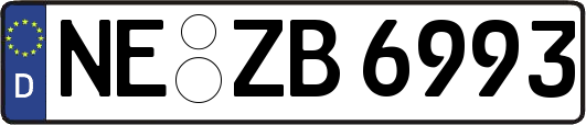 NE-ZB6993