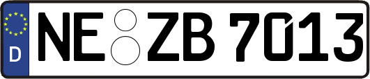 NE-ZB7013