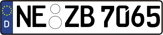 NE-ZB7065