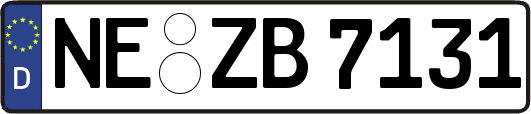 NE-ZB7131
