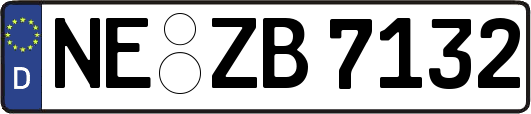NE-ZB7132
