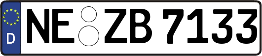 NE-ZB7133
