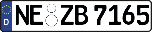 NE-ZB7165
