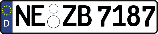 NE-ZB7187