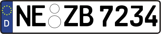 NE-ZB7234