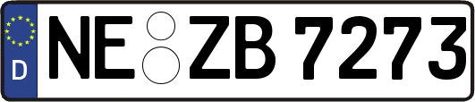 NE-ZB7273