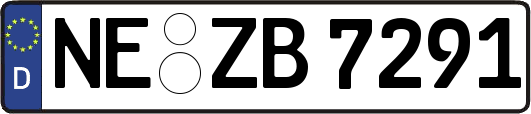 NE-ZB7291