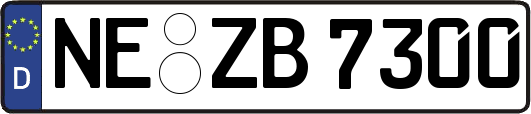 NE-ZB7300