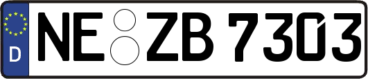 NE-ZB7303