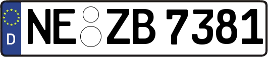 NE-ZB7381