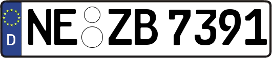 NE-ZB7391