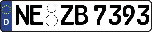 NE-ZB7393