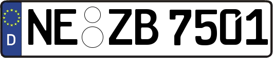 NE-ZB7501